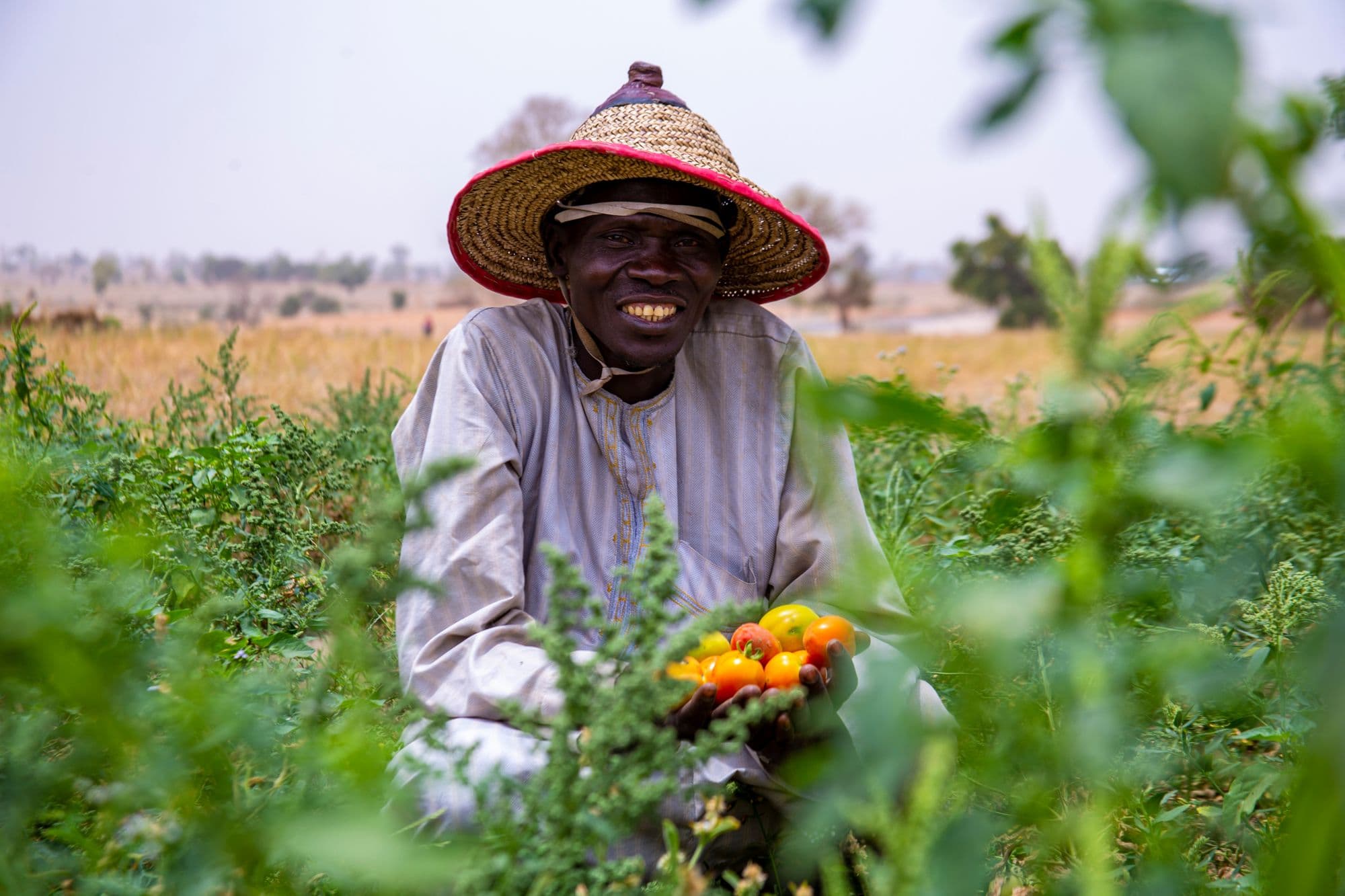 Smiling farmer in a straw hat holding fresh tomatoes