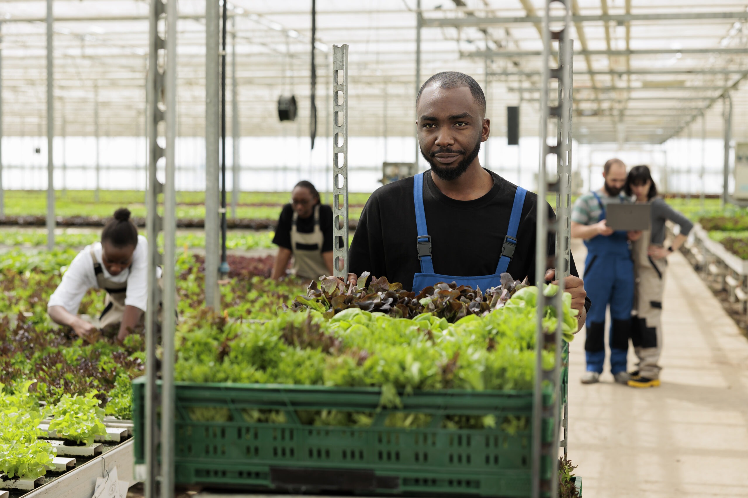 elbon farms